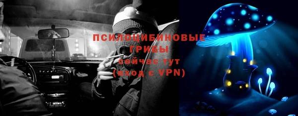 соль ск Арсеньев