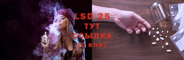 стафф Аркадак