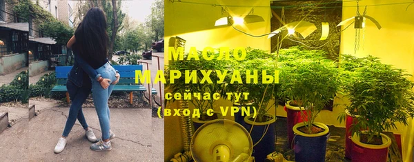 сатива Иннополис