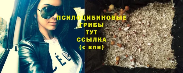 стафф Аркадак