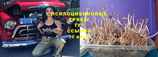 соль ск Арсеньев