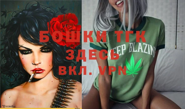 соль ск Арсеньев