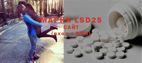 стафф Аркадак