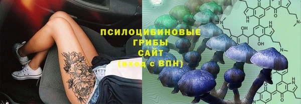 соль ск Арсеньев